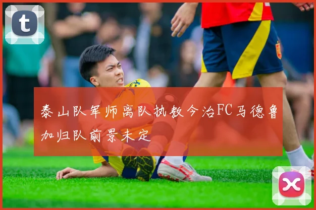 泰山队军师离队执教今治FC马德鲁加归队前景未定